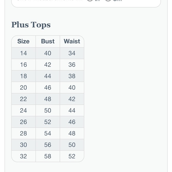 REDUCED! Resale Box, or not, 4 item Torrid & Lane Bryant (4 Pieces) - Plus Sized - Picture 13 of 13